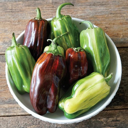 Territorial Seed Company