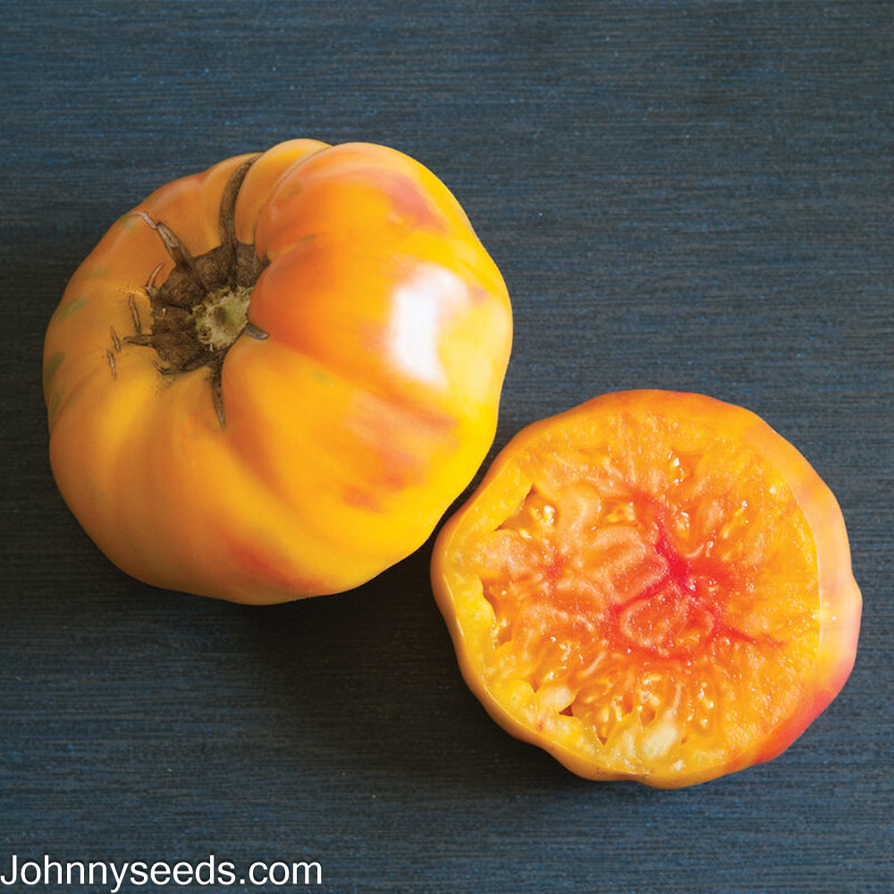 Image courtesy of Johnny’s Selected Seeds, Johnnyseeds.com