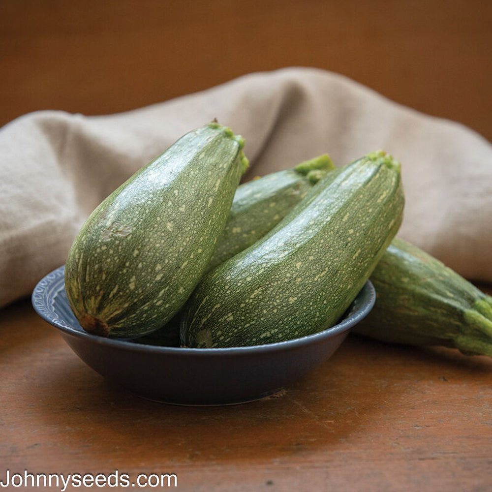 Image courtesy of Johnny’s Selected Seeds, Johnnyseeds.com