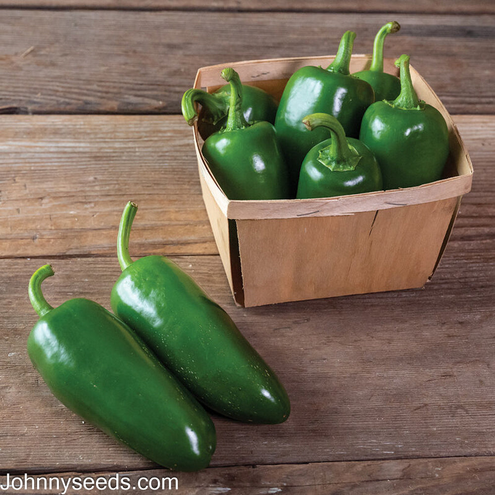 Image courtesy of Johnny’s Selected Seeds, Johnnyseeds.com