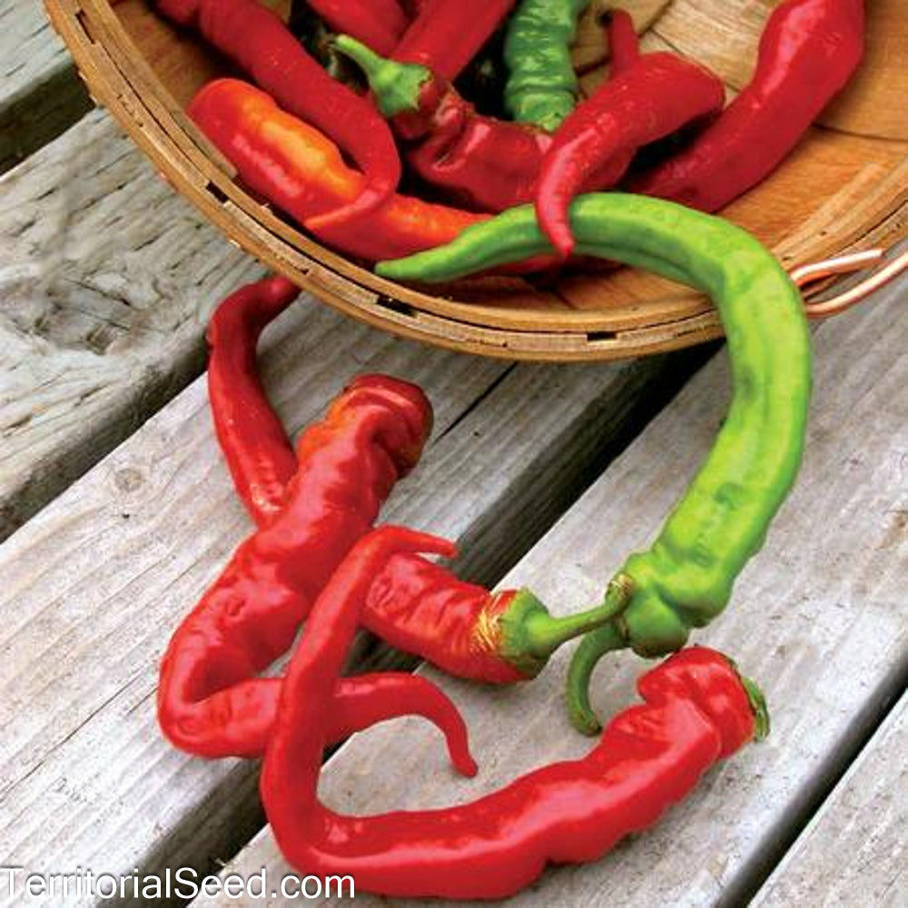 Territorial Seed Company