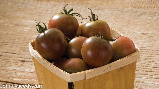 Image courtesy of Johnny’s Selected Seeds, Johnnyseeds.com