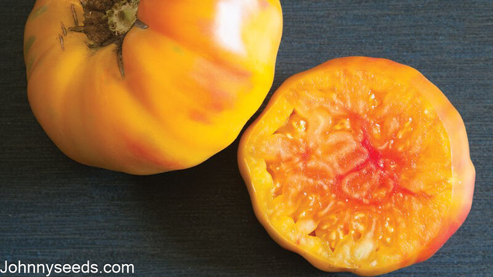 Image courtesy of Johnny’s Selected Seeds, Johnnyseeds.com