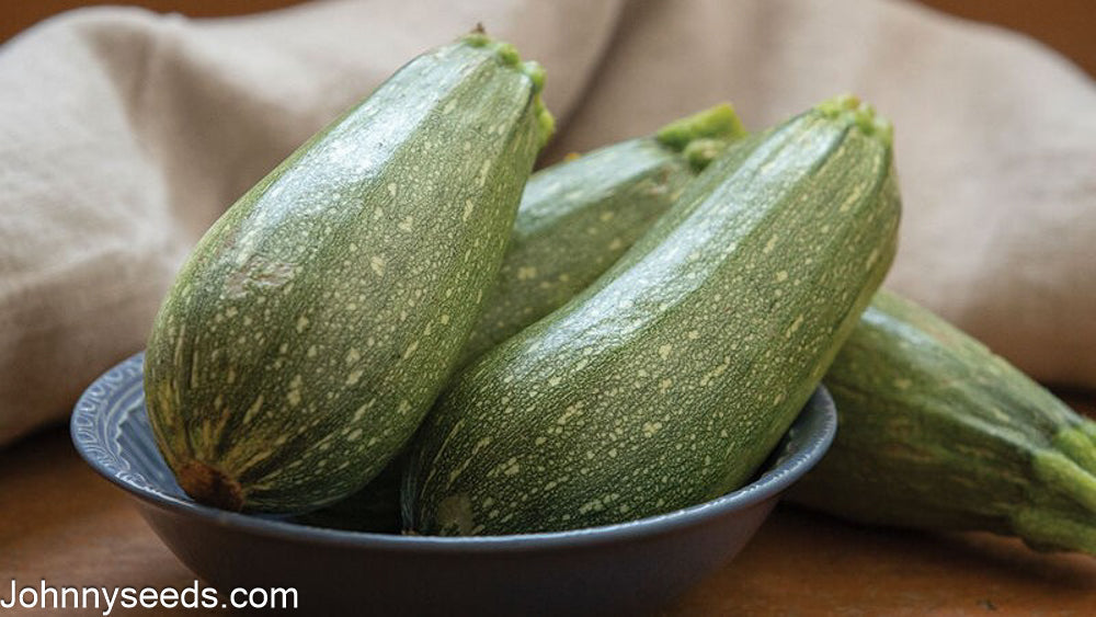 Image courtesy of Johnny’s Selected Seeds, Johnnyseeds.com