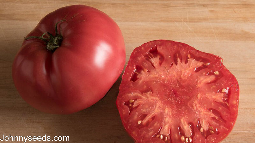 Image courtesy of Johnny’s Selected Seeds, Johnnyseeds.com